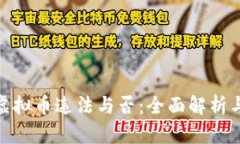 在农村搞虚拟币违法与否：全面解析与法律风险