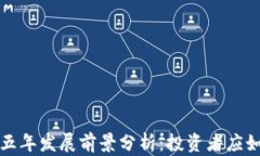 虚拟币未来五年发展前景分析：投资者应如何把