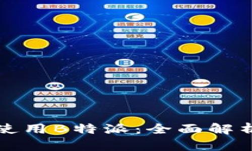 在国内如何使用B特派：全面解析与实用指南