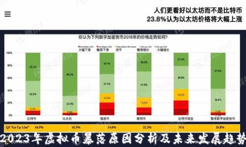 
2023年虚拟币暴落原因分析及未来发展趋势