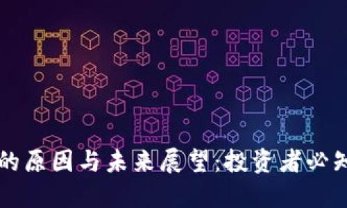 虚拟币反弹的原因与未来展望：投资者必知的市场动态